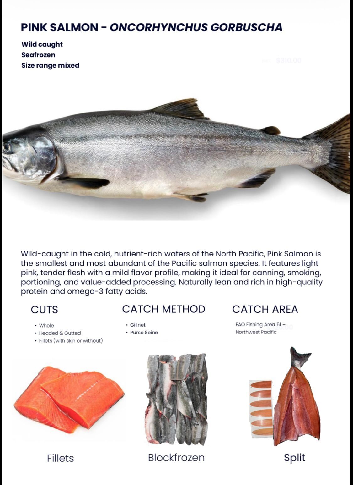 Pink Salmon Datenblatt
